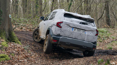 Dacia Duster - rear action