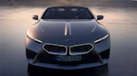 BMW Concept Skytop - front end