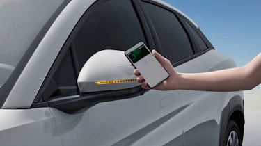 BYD Sealion 7 - phone entry