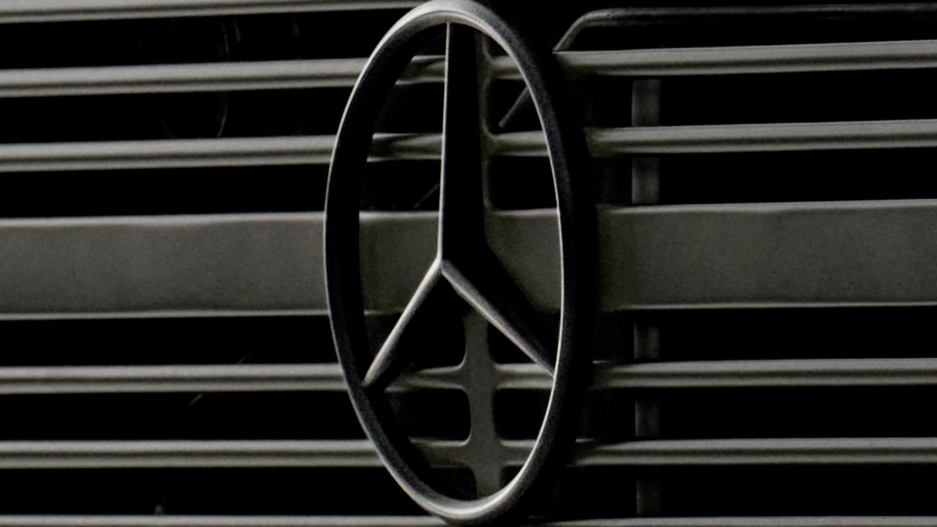 Mercedes G-Class Past II Future - front badge