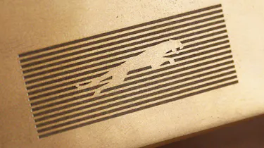 New Jaguar logo 1