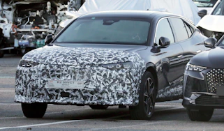 DS No 4 (camouflaged)- front