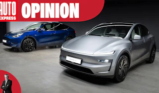 Opinion - Elon Musk