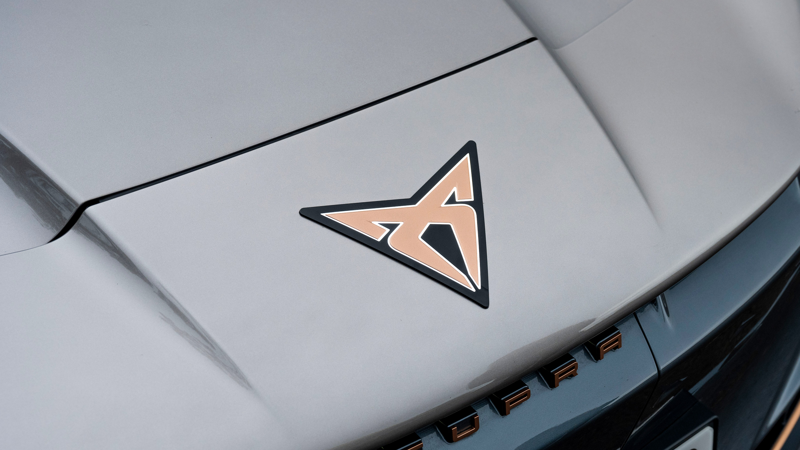 Cupra Tavascan long termer - badge