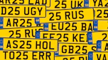 Naughty number plates