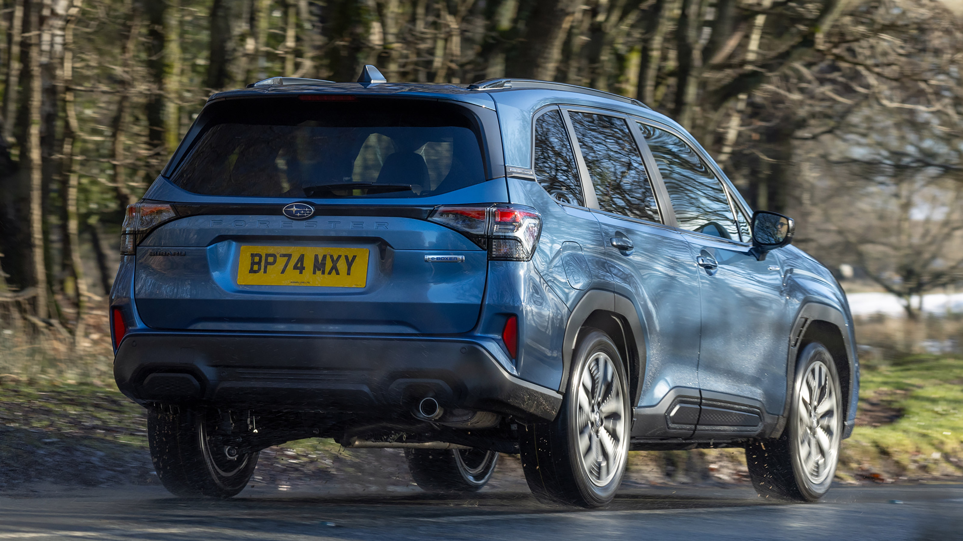 Subaru Forester - rear