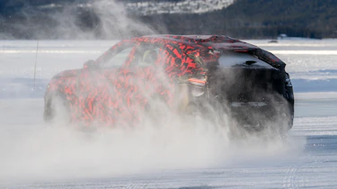Alfa Romeo Stelvio (camouflaged) - rear action