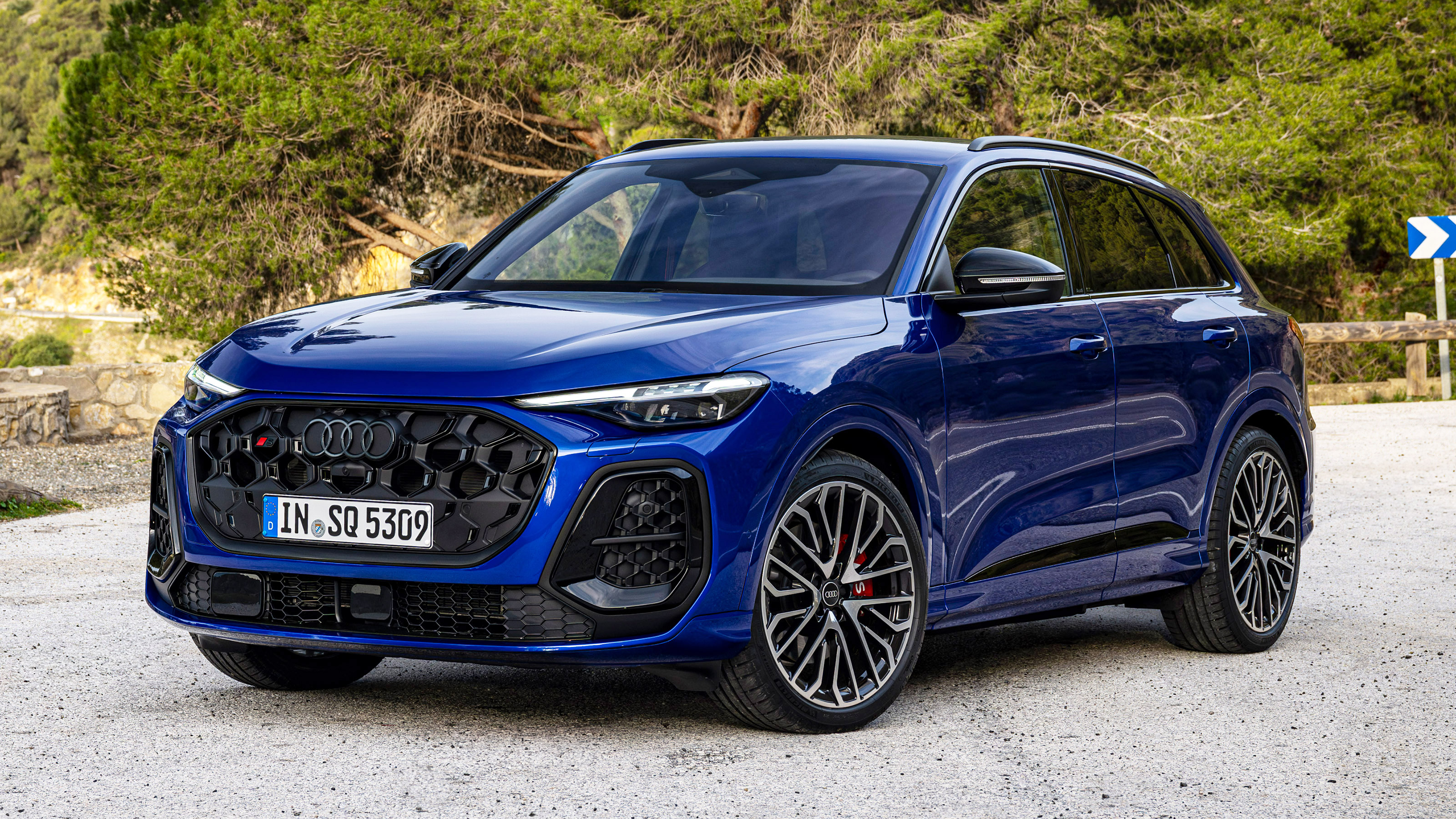 Audi SQ5 - front static