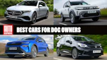 Best cars for dog owners - header image