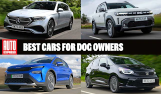 Best cars for dog owners - header image