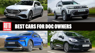 Best cars for dog owners - header image