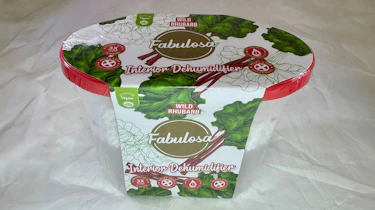 Fabulosa Dehumidifier