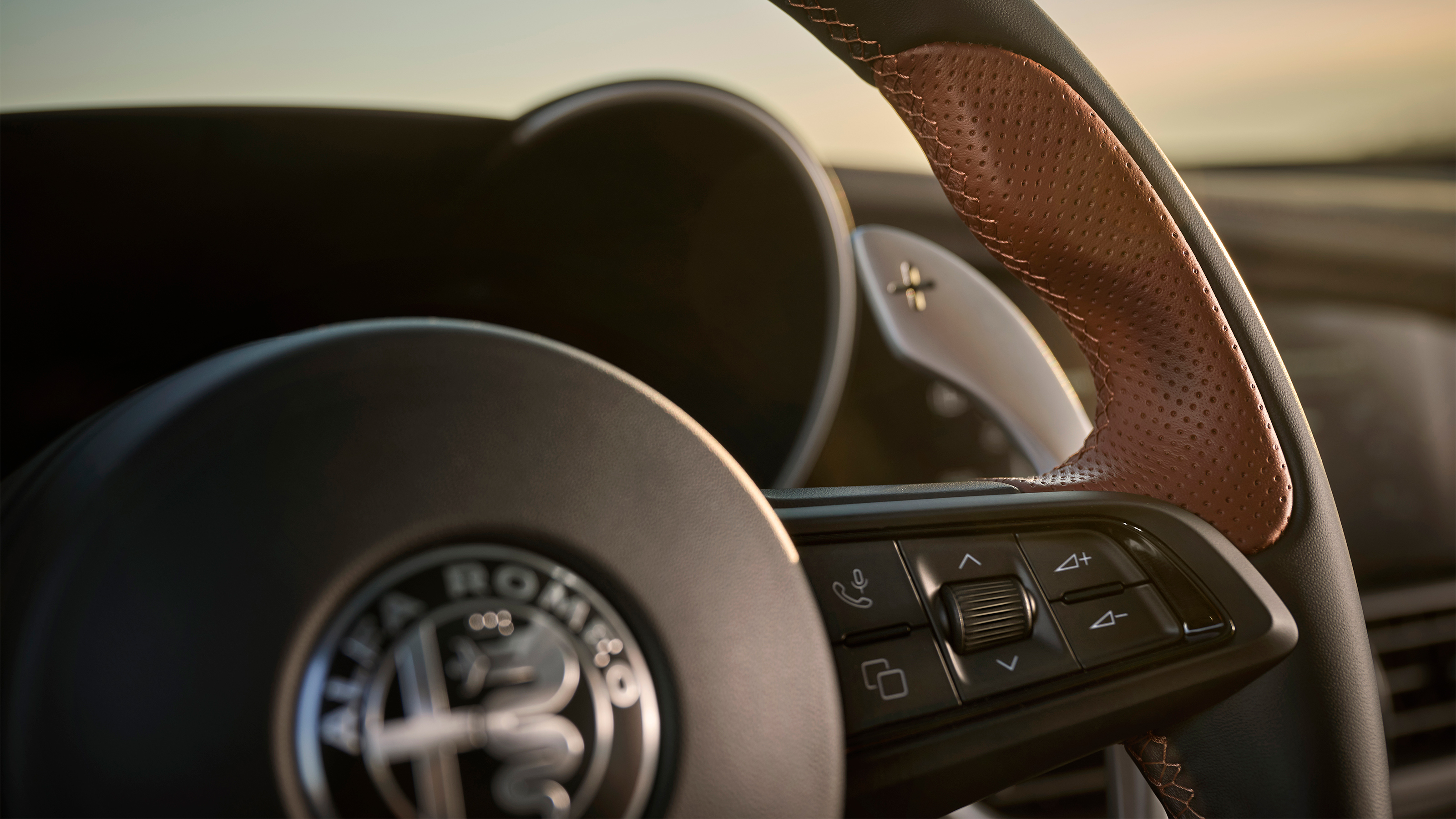 Giulia Intensa - steering wheel