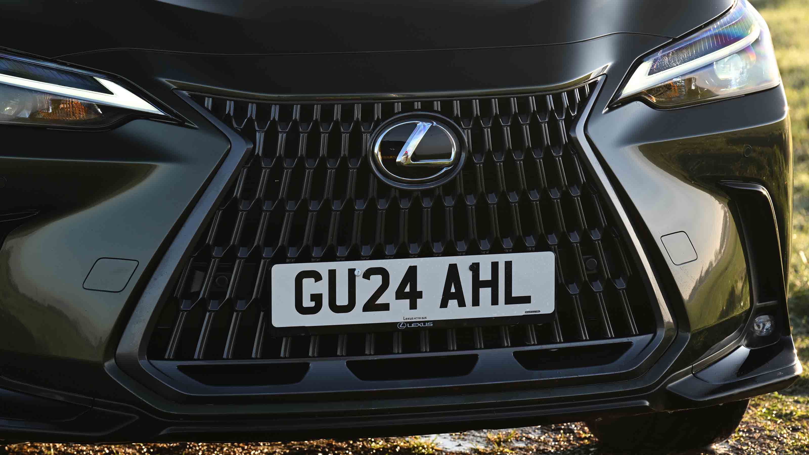 Lexus NX - grille