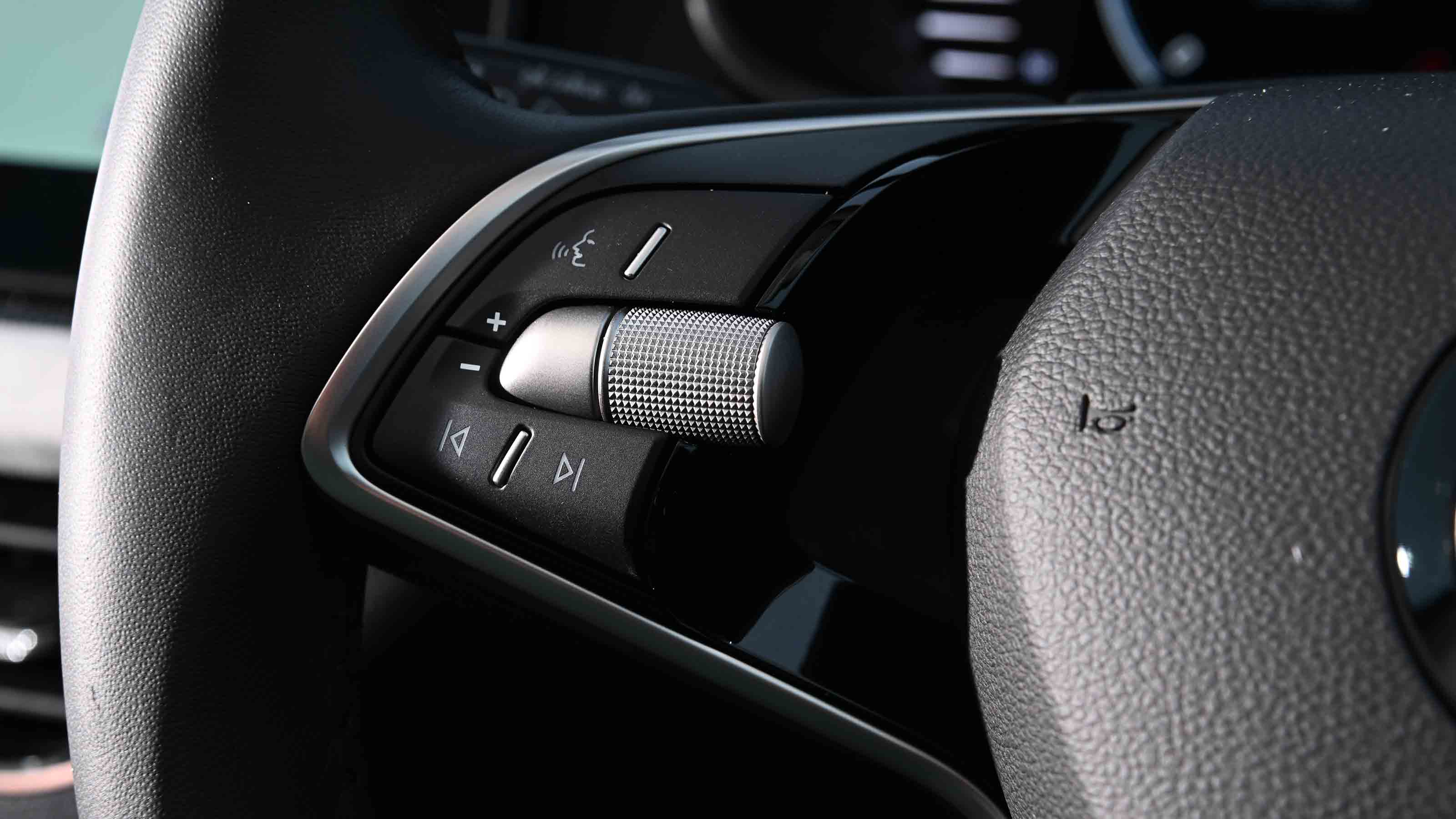 Skoda Kamiq - steering wheel buttons