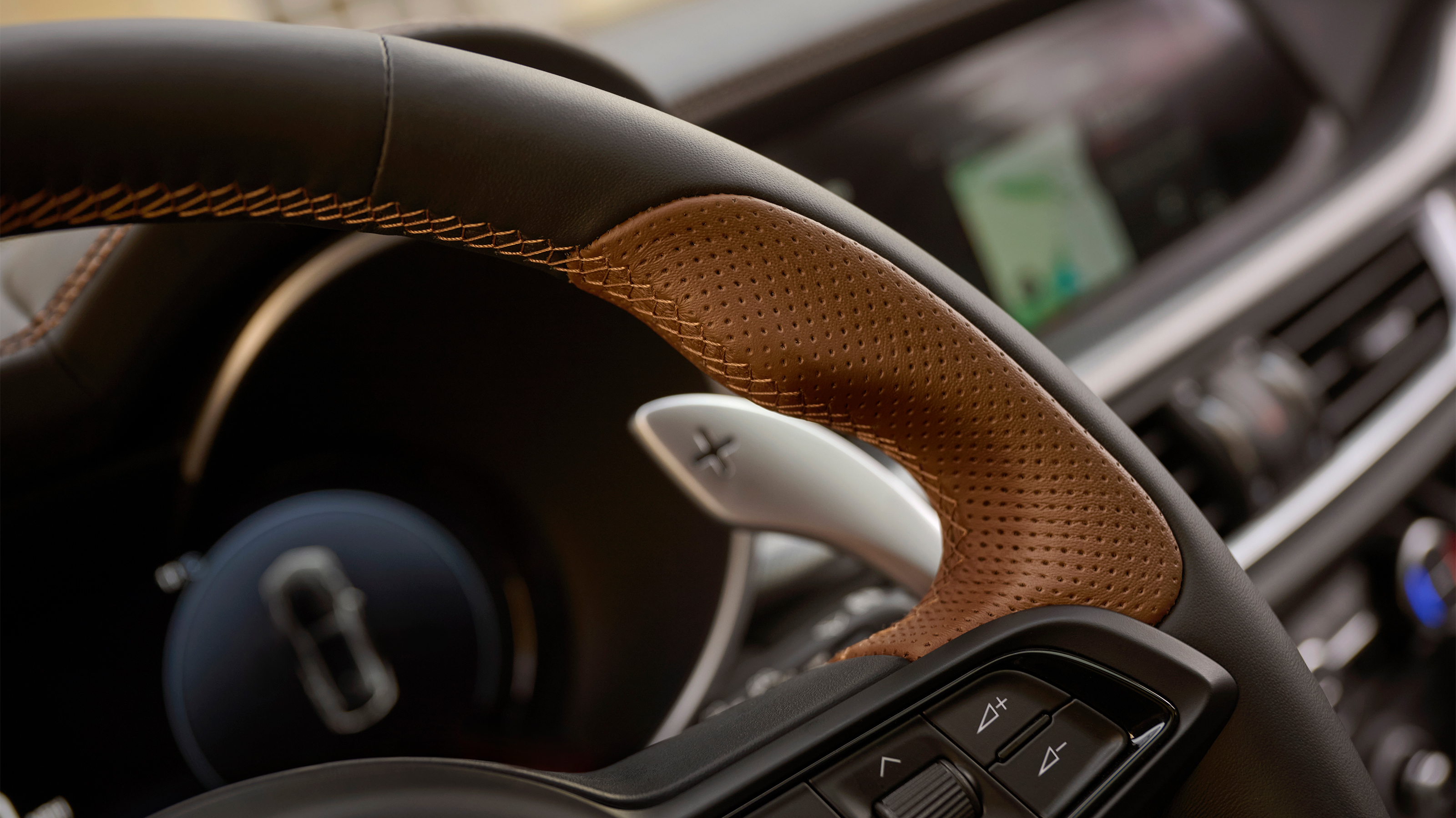 Stelvio Intensa - steering wheel