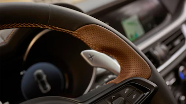 Stelvio Intensa - steering wheel