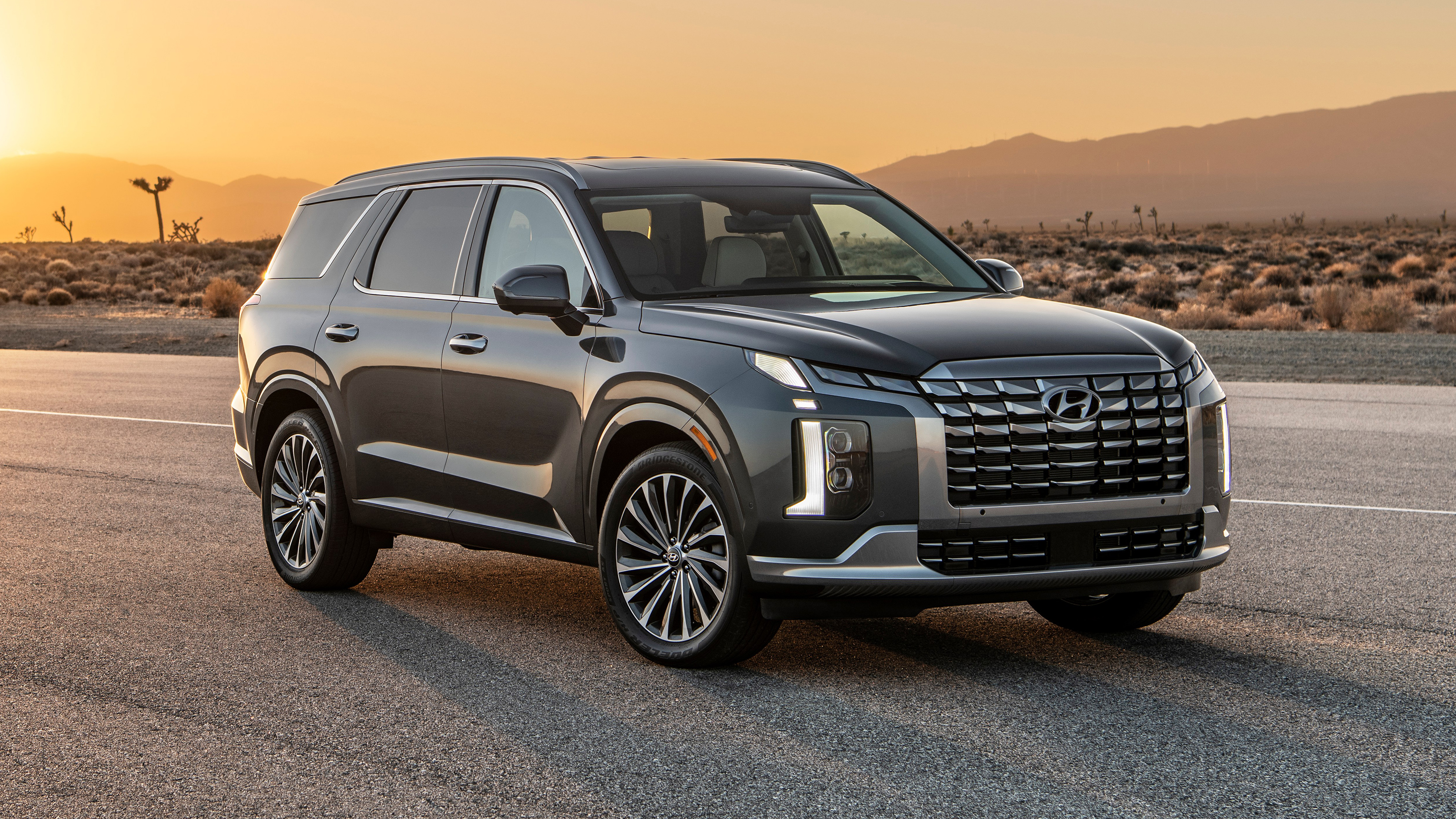 Hyundai Palisade - front static