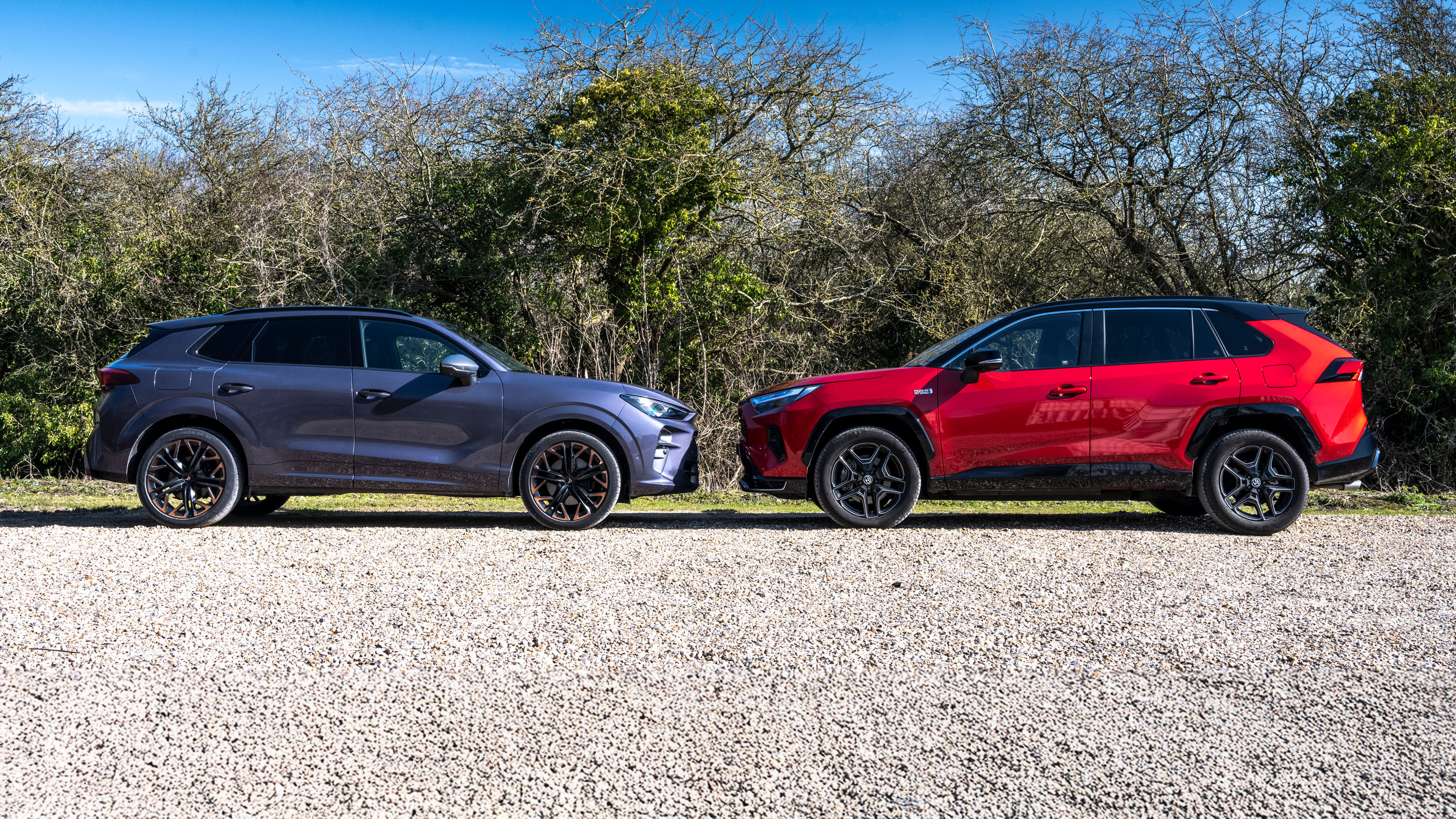 Toyota RAV4 vs Cupra Terramar - side static