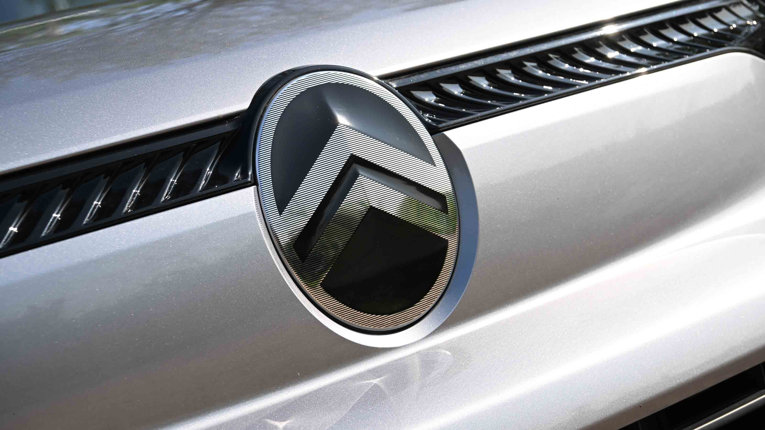 Citroen Berlingo Van - badge