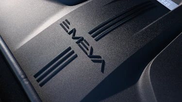 Lotus Emeya - detail