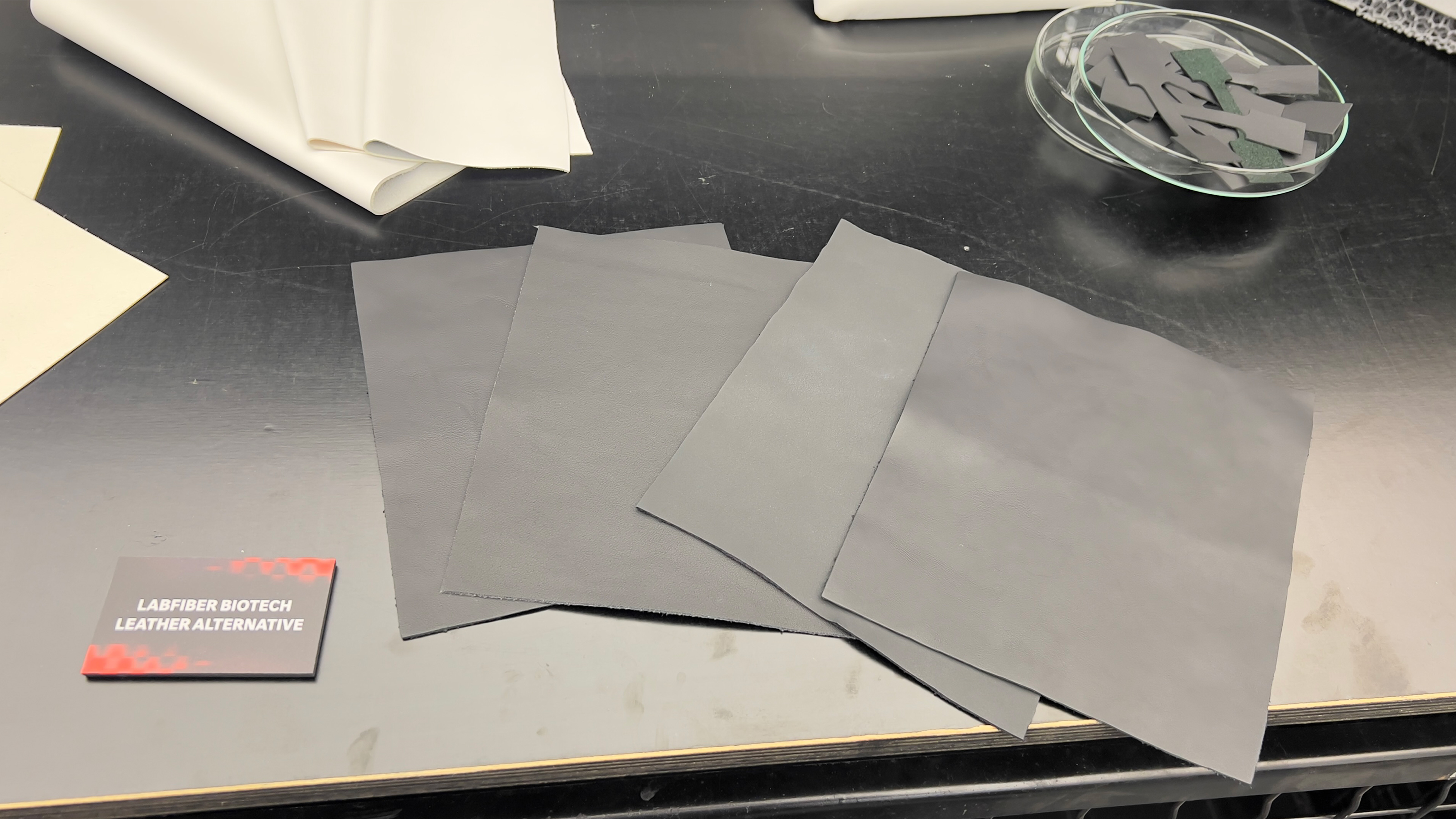 ‘Labfiber Biotech Leather Alternative’