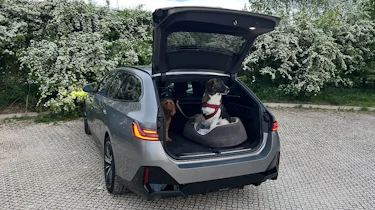 BMW 530e Touring long-term - dogs in the boot