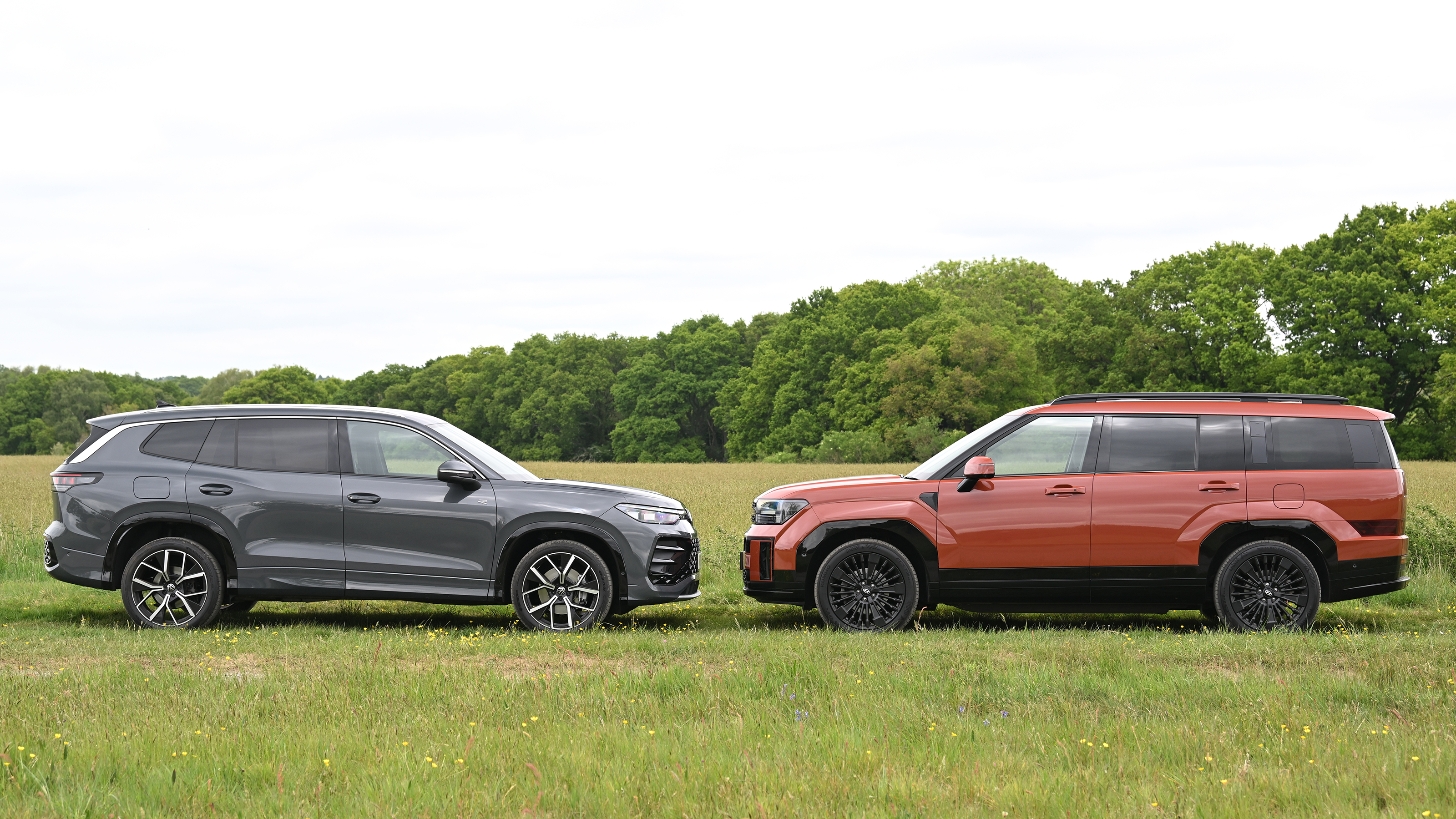 Hyundai Santa Fe and Volkswagen Tayron - side static 