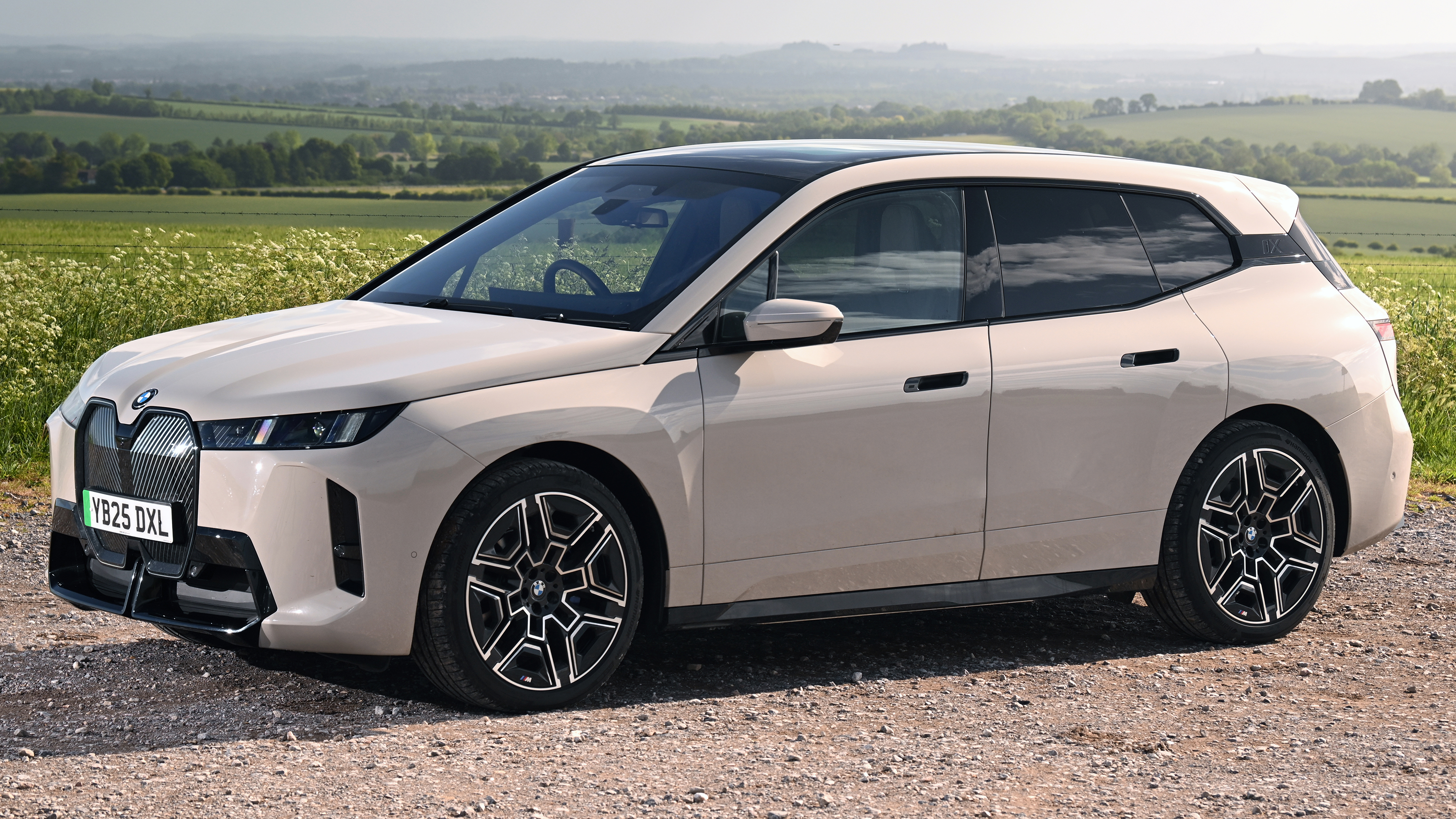 BMW iX - front angled