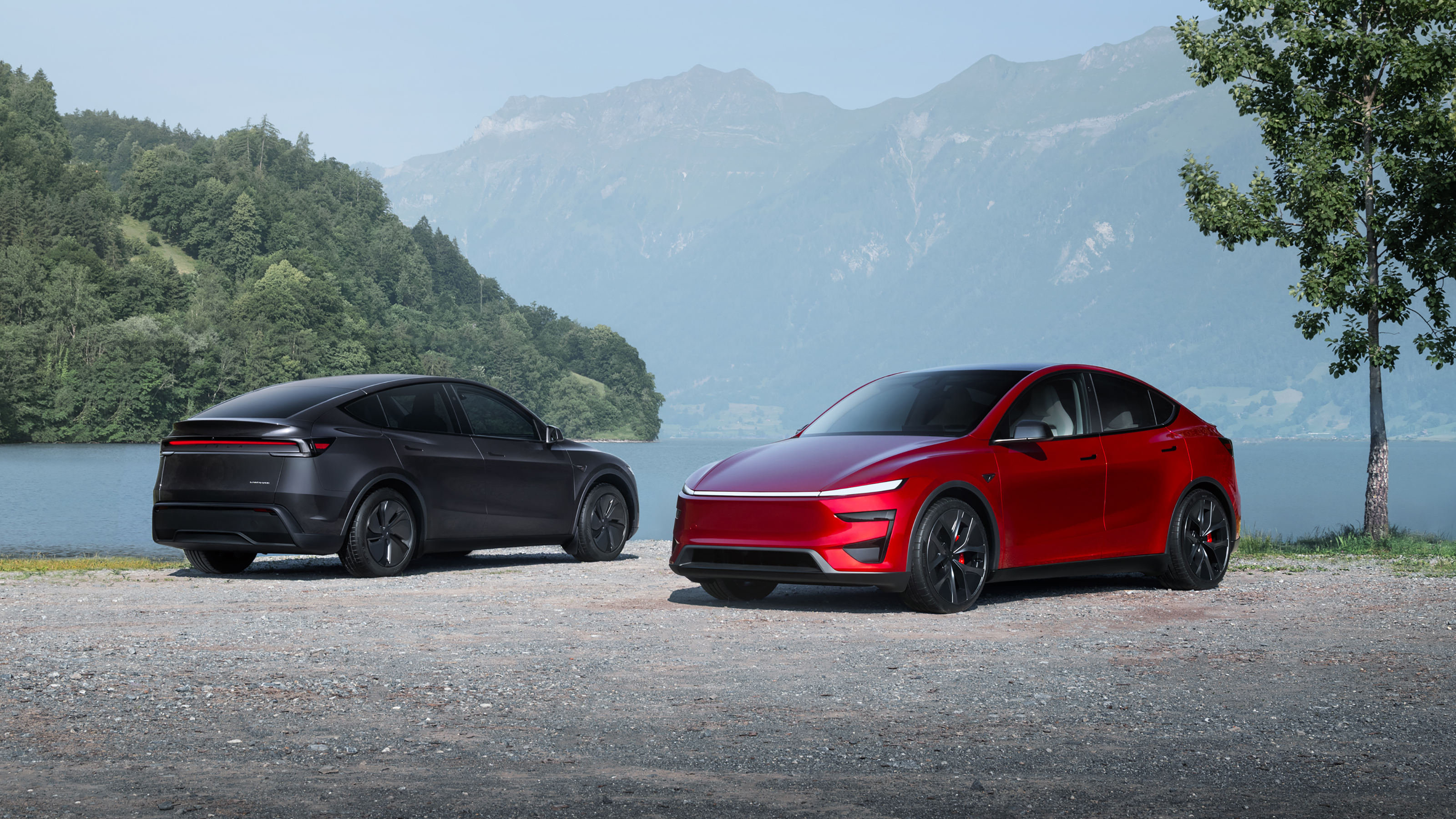 2025 Tesla Model Y Performance - two cars