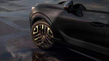 Cupra Terramar Tribe Edition - wheel