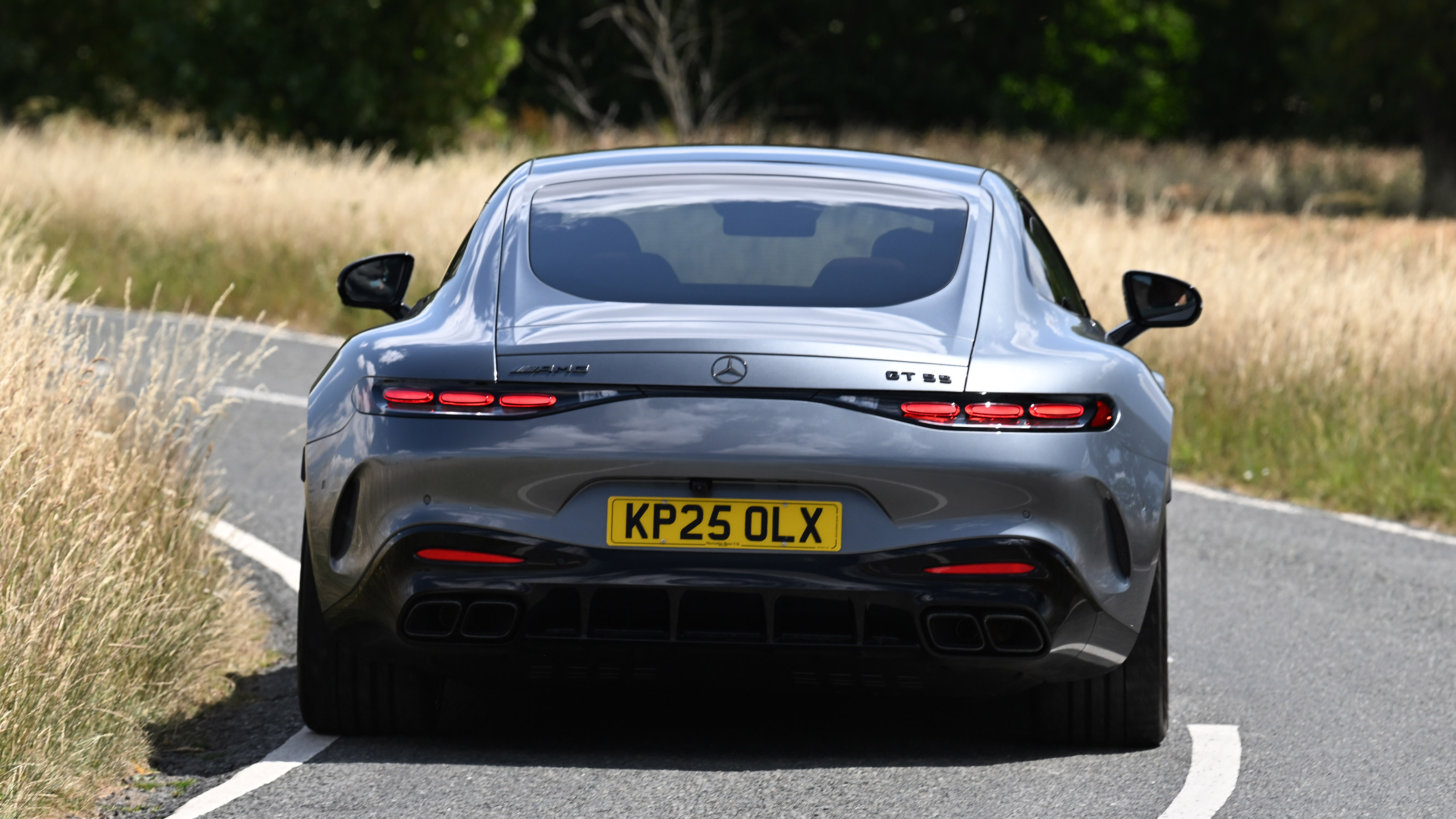 Mercedes-AMG GT 55 - action