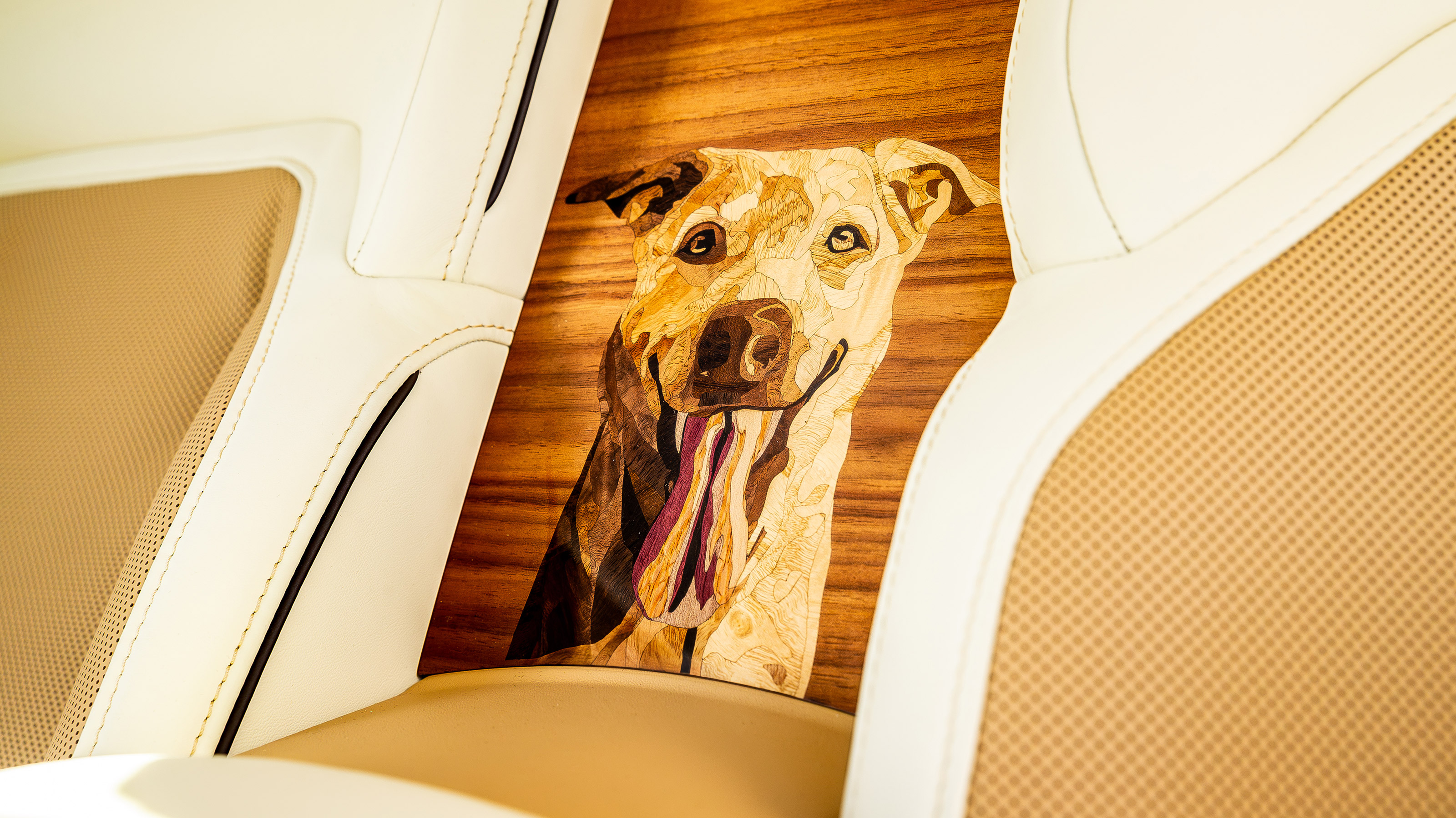 Rolls-Royce Spectre Bailey - interior detail
