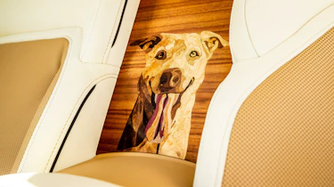 Rolls-Royce Spectre Bailey - interior detail