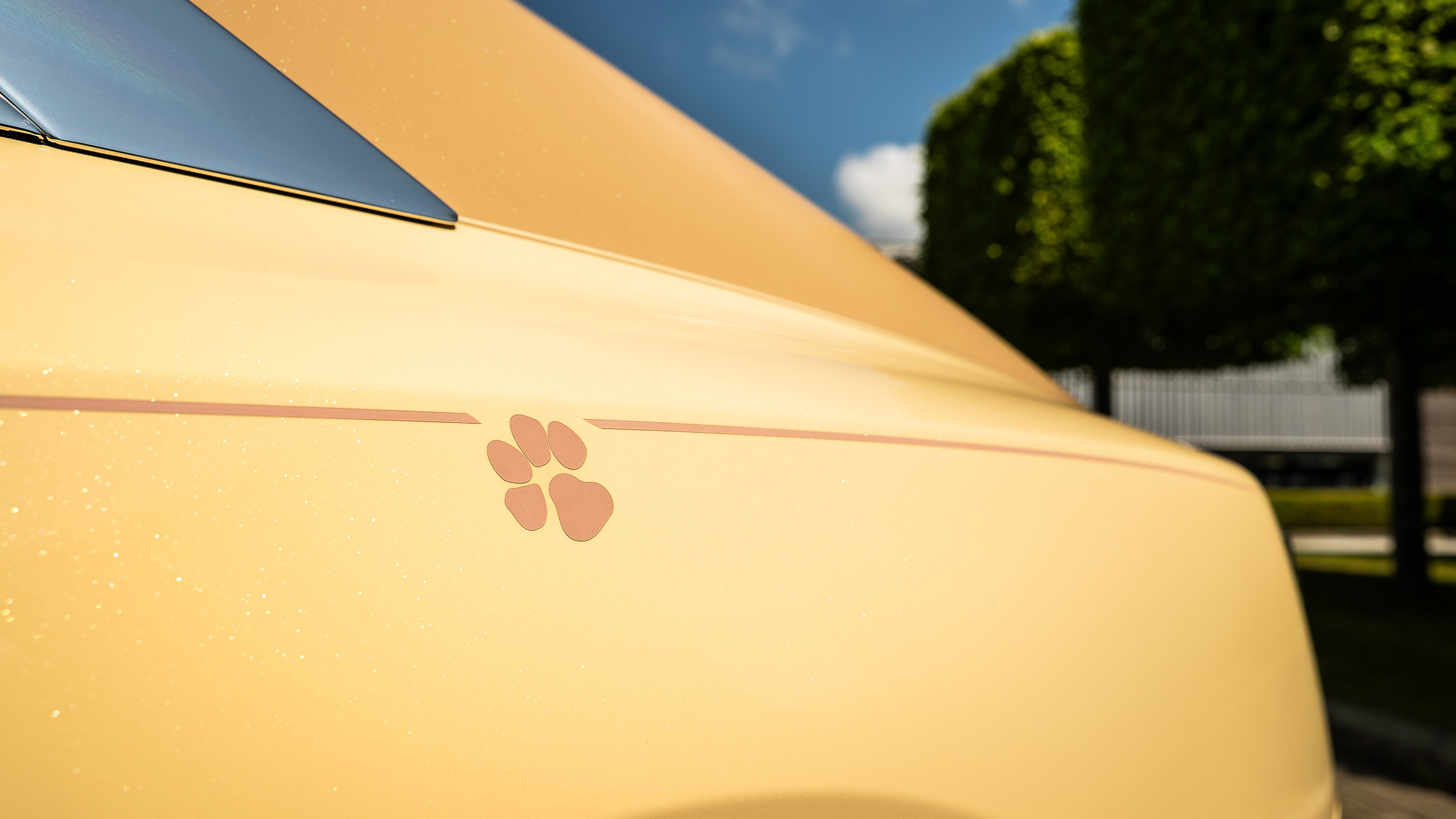 Rolls-Royce Spectre Bailey - exterior paw print