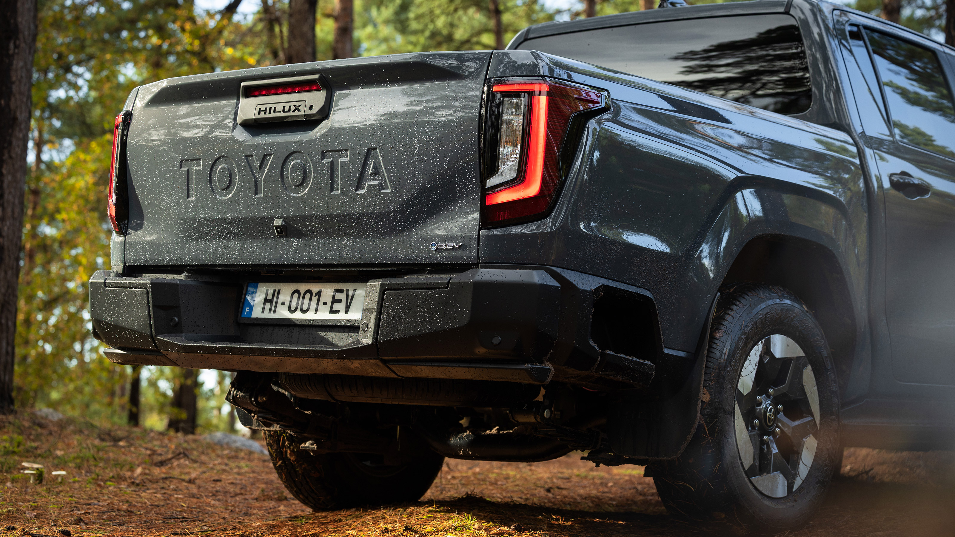 Toyota Hilux - rear detail