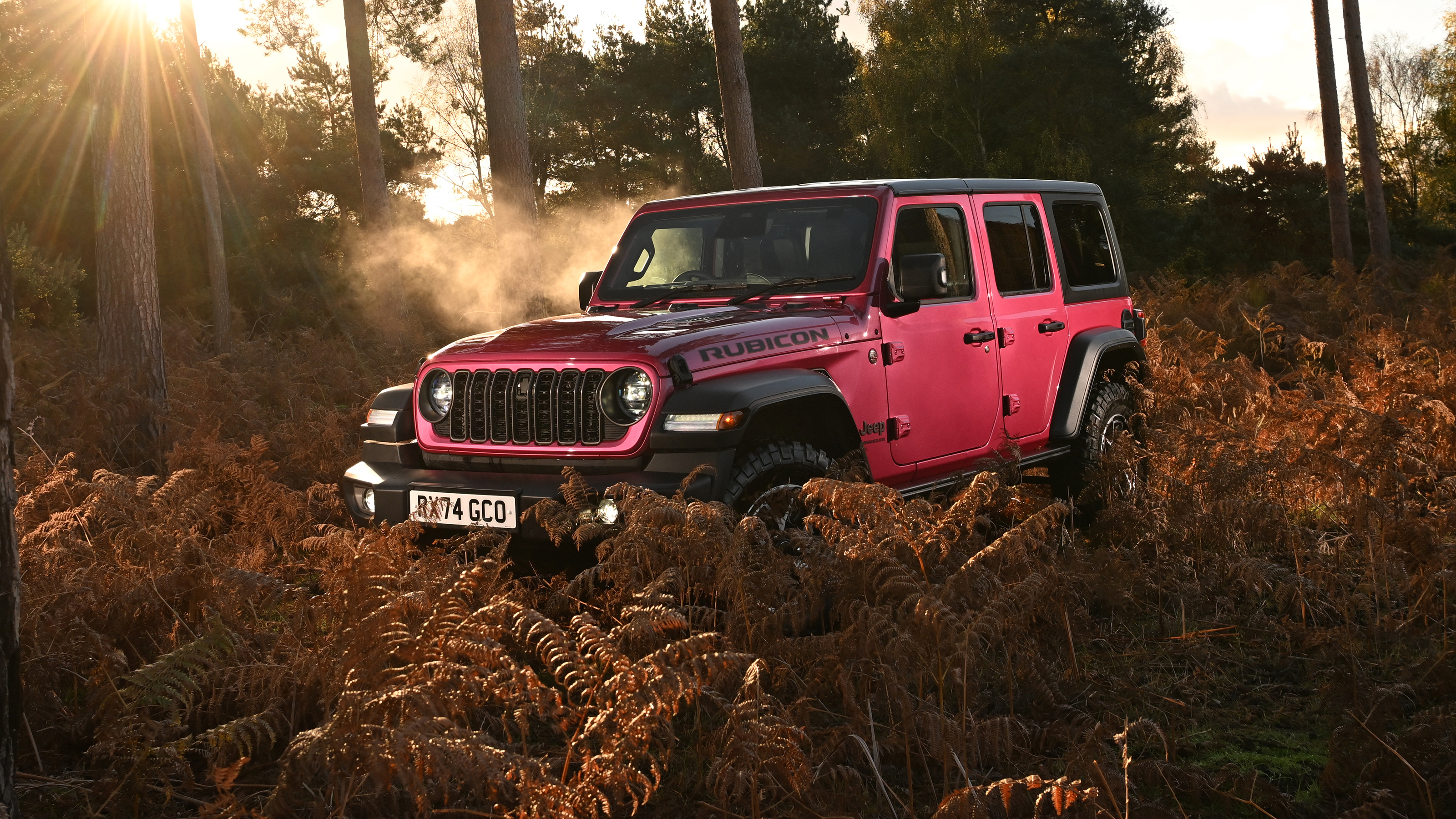 Jeep Wrangler - front static