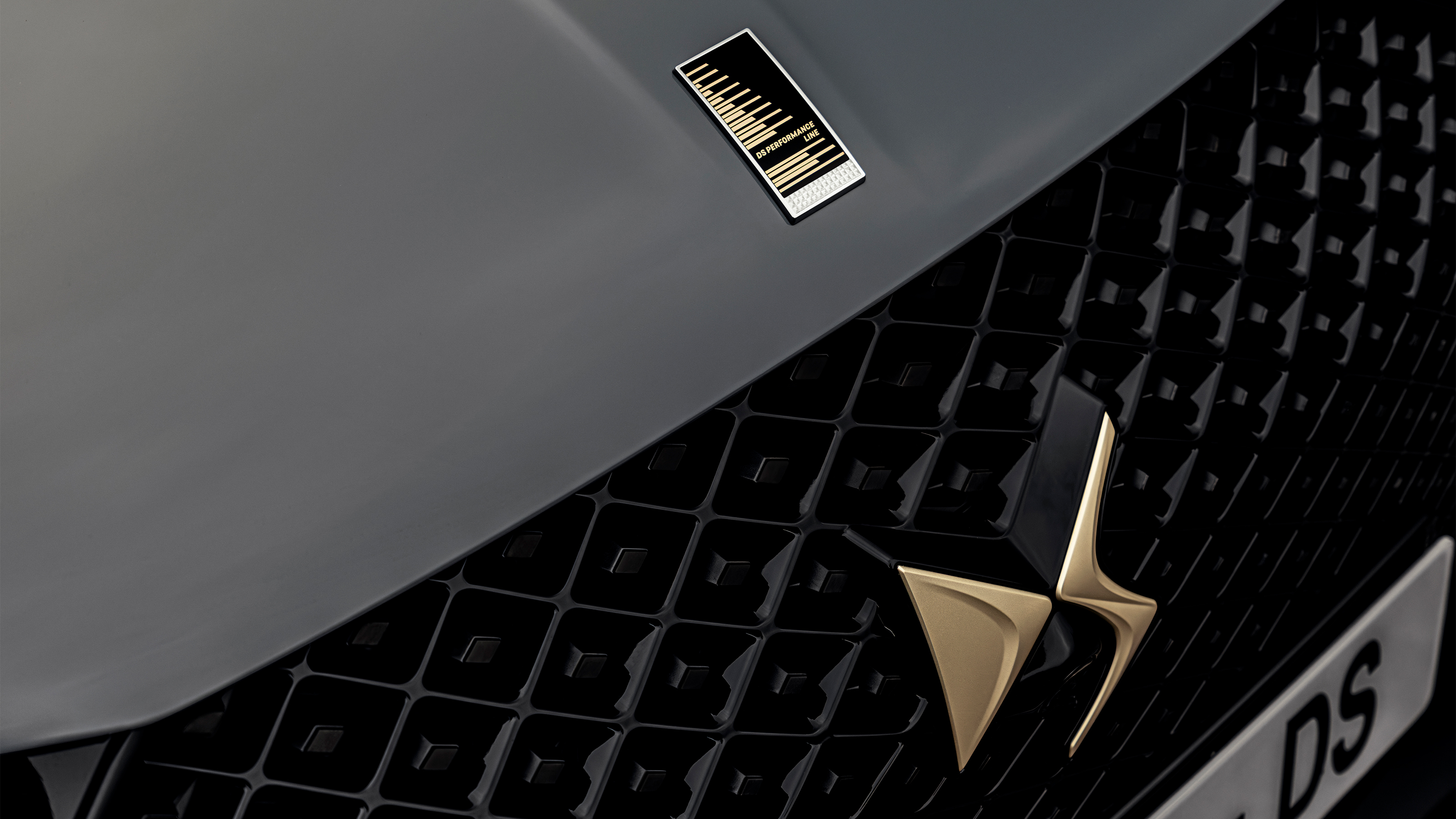 DS 3 Performance line - front badge and grill