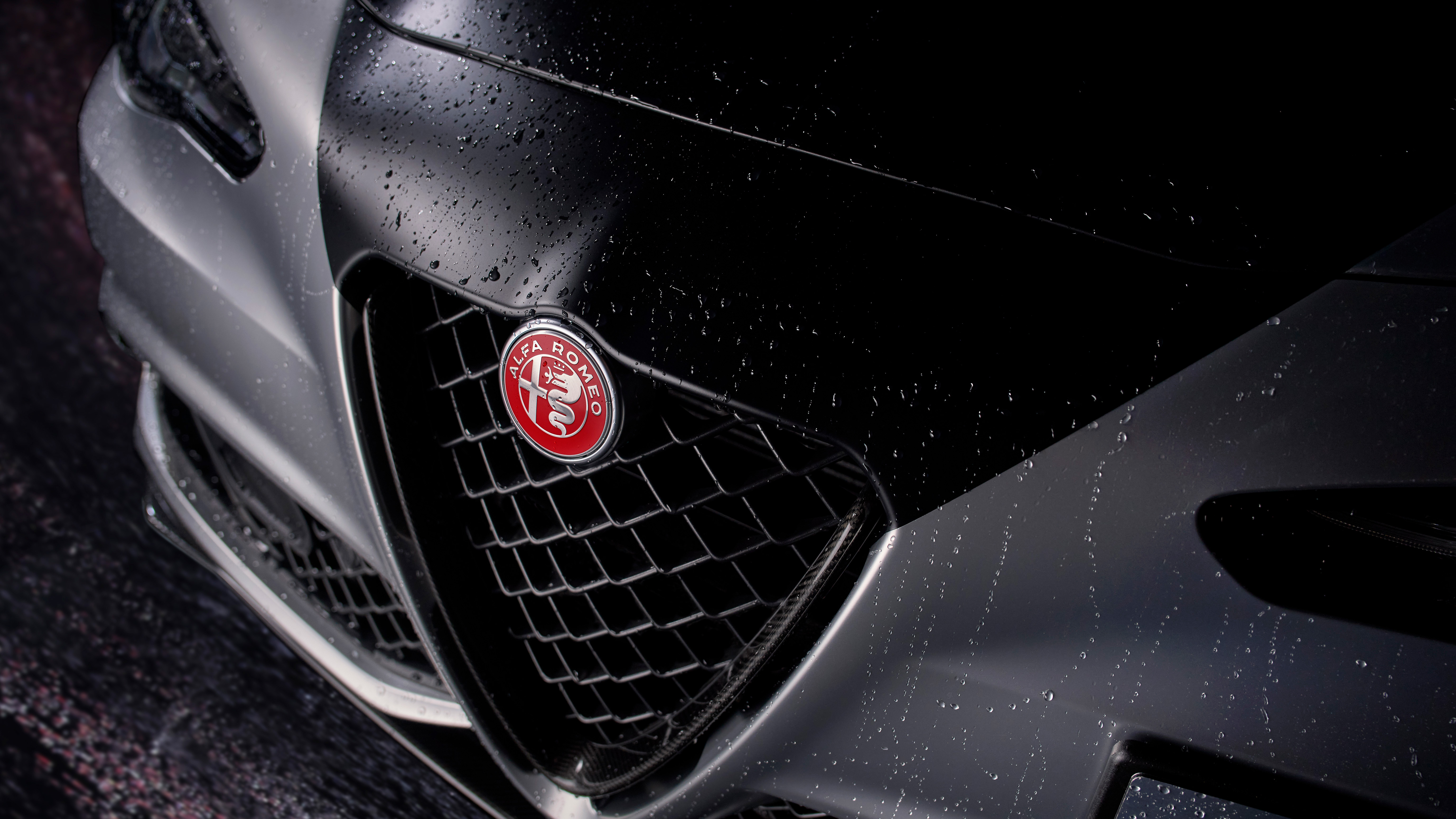 Alfa Romeo Giulia Quadrifoglio Luna Rosa - grille