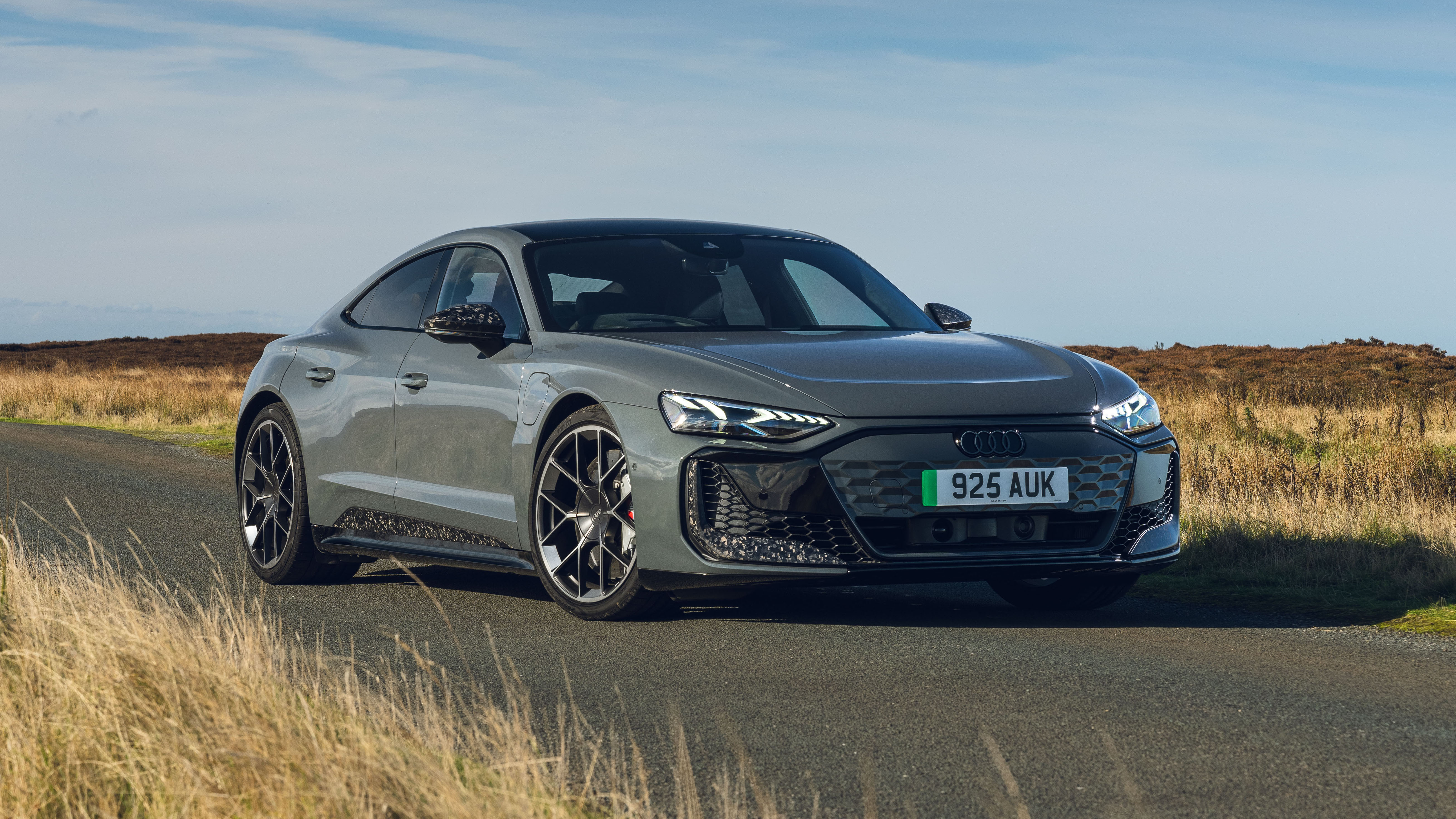 New Audi RS e-tron Performance - front static 