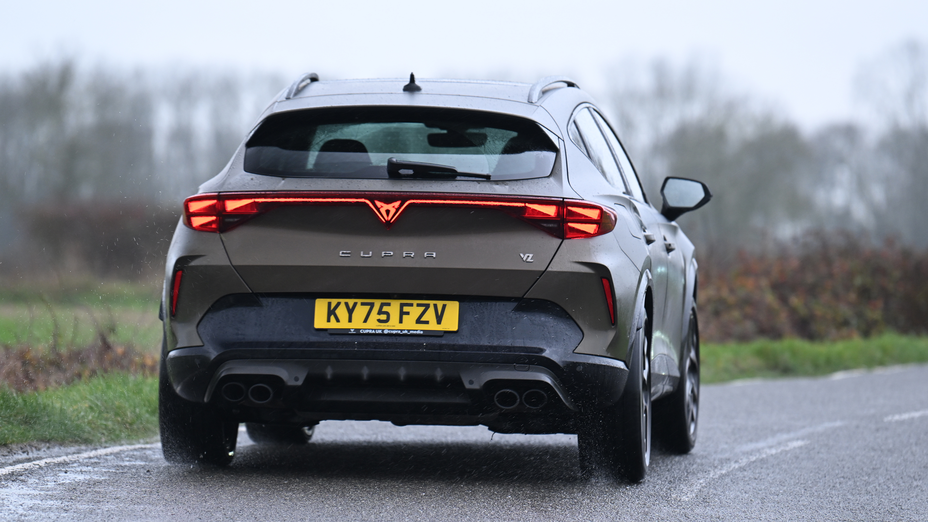 Cupra Formentor - rear cornering