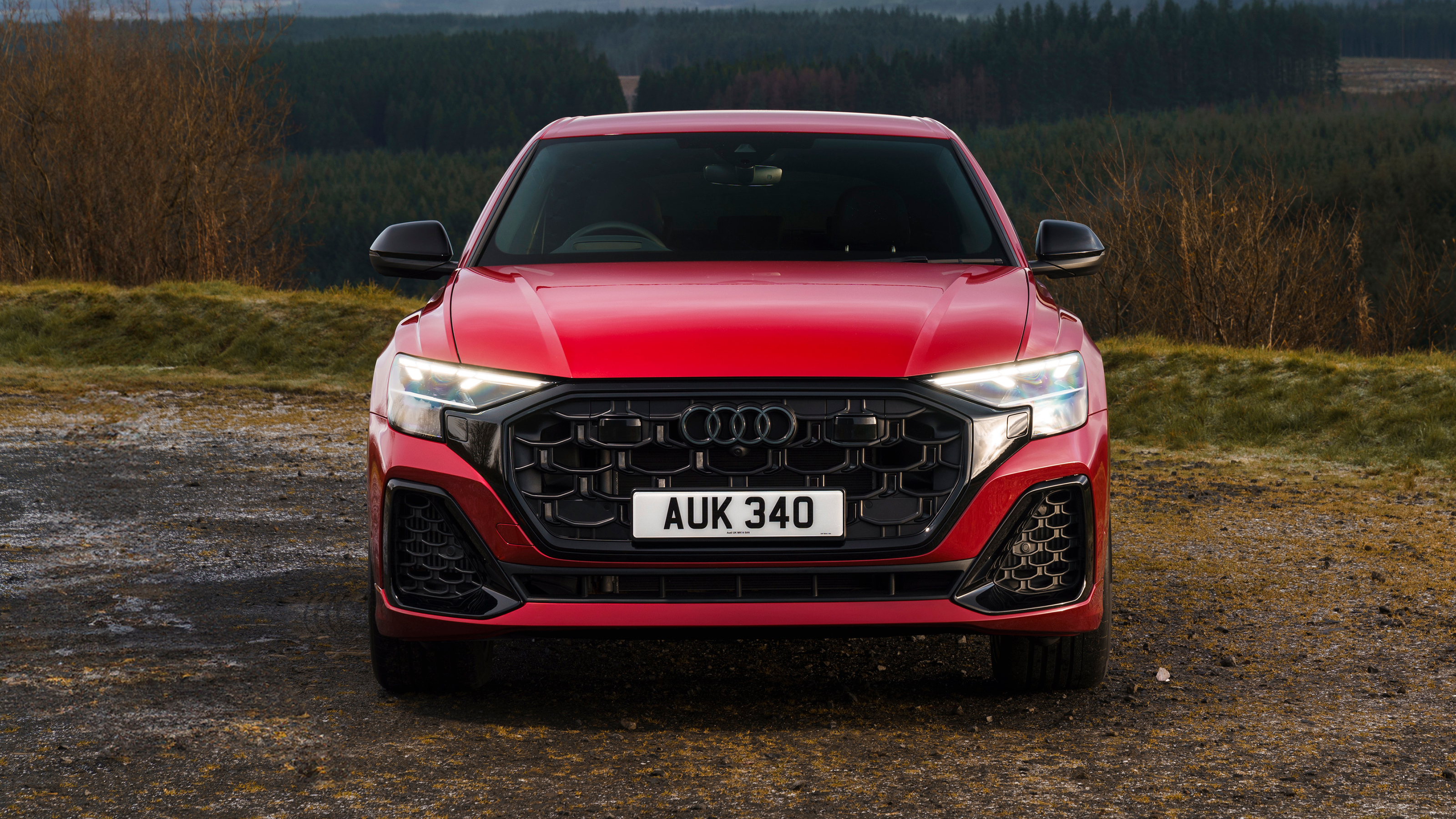 Audi Q8 - front static