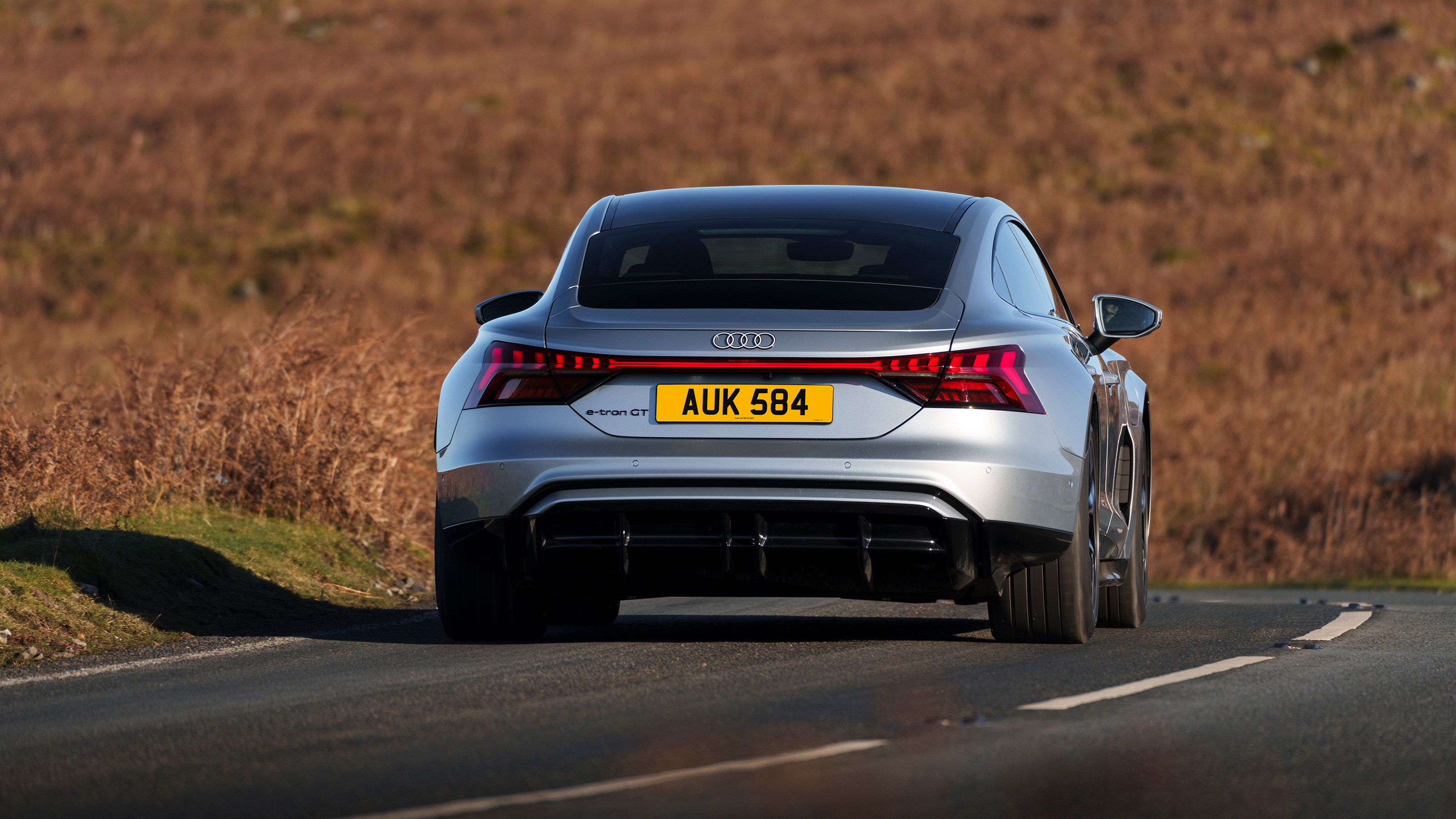 Audi e-tron GT - rear cornering