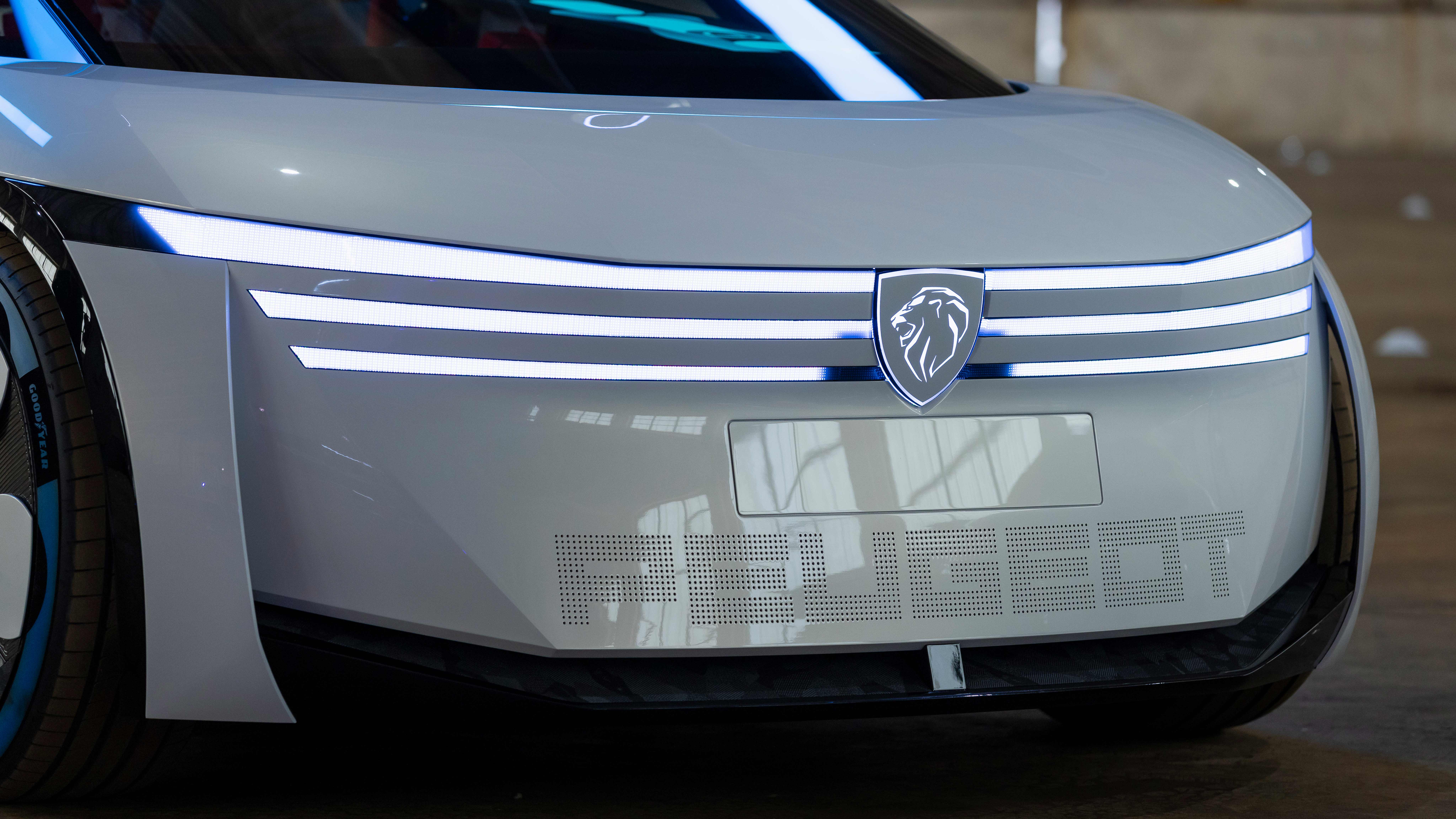 Peugeot Polygon concept - grille