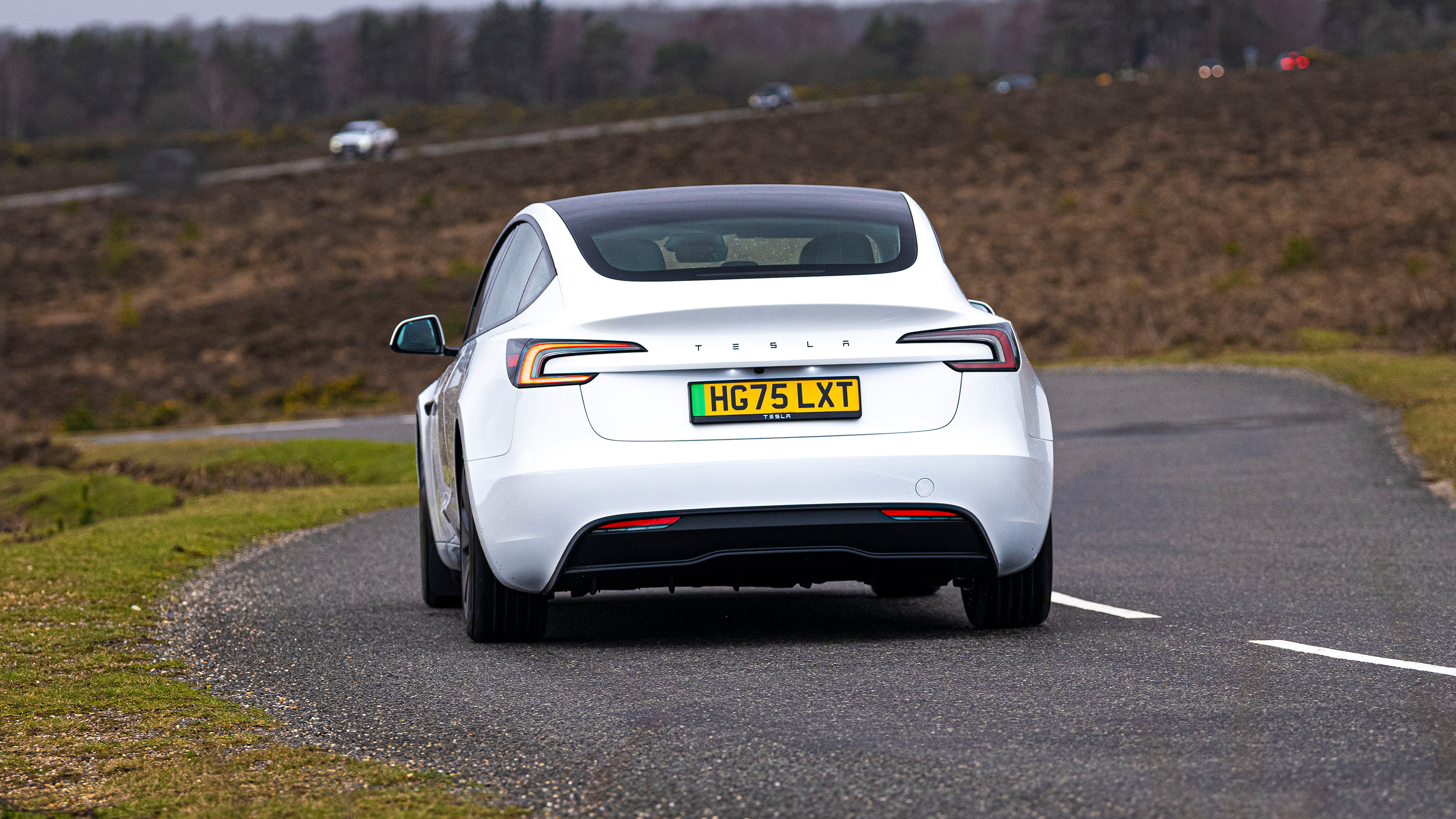 Tesla Model 3 RWD - rear cornering
