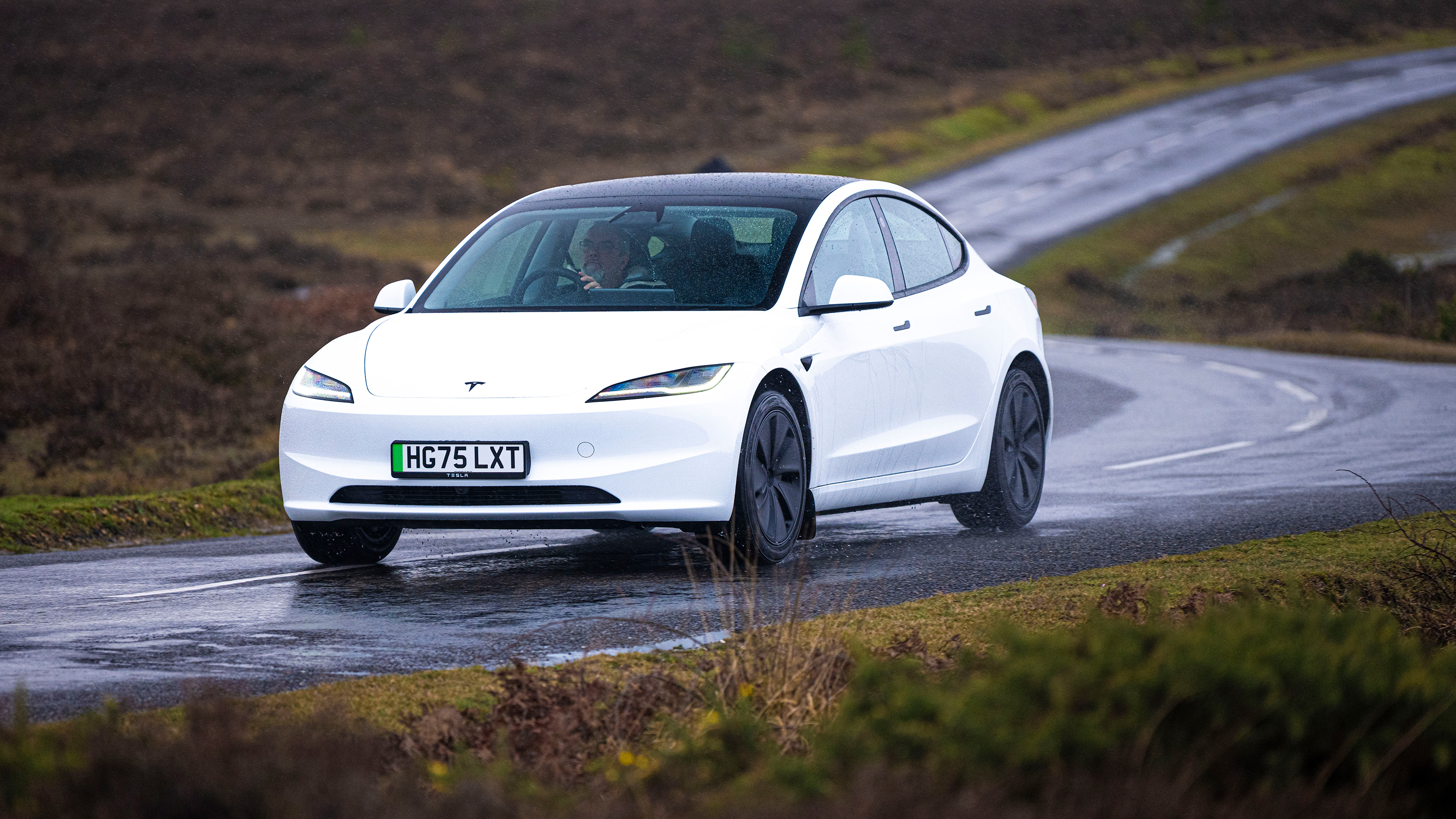 Tesla Model 3 RWD - front cornering