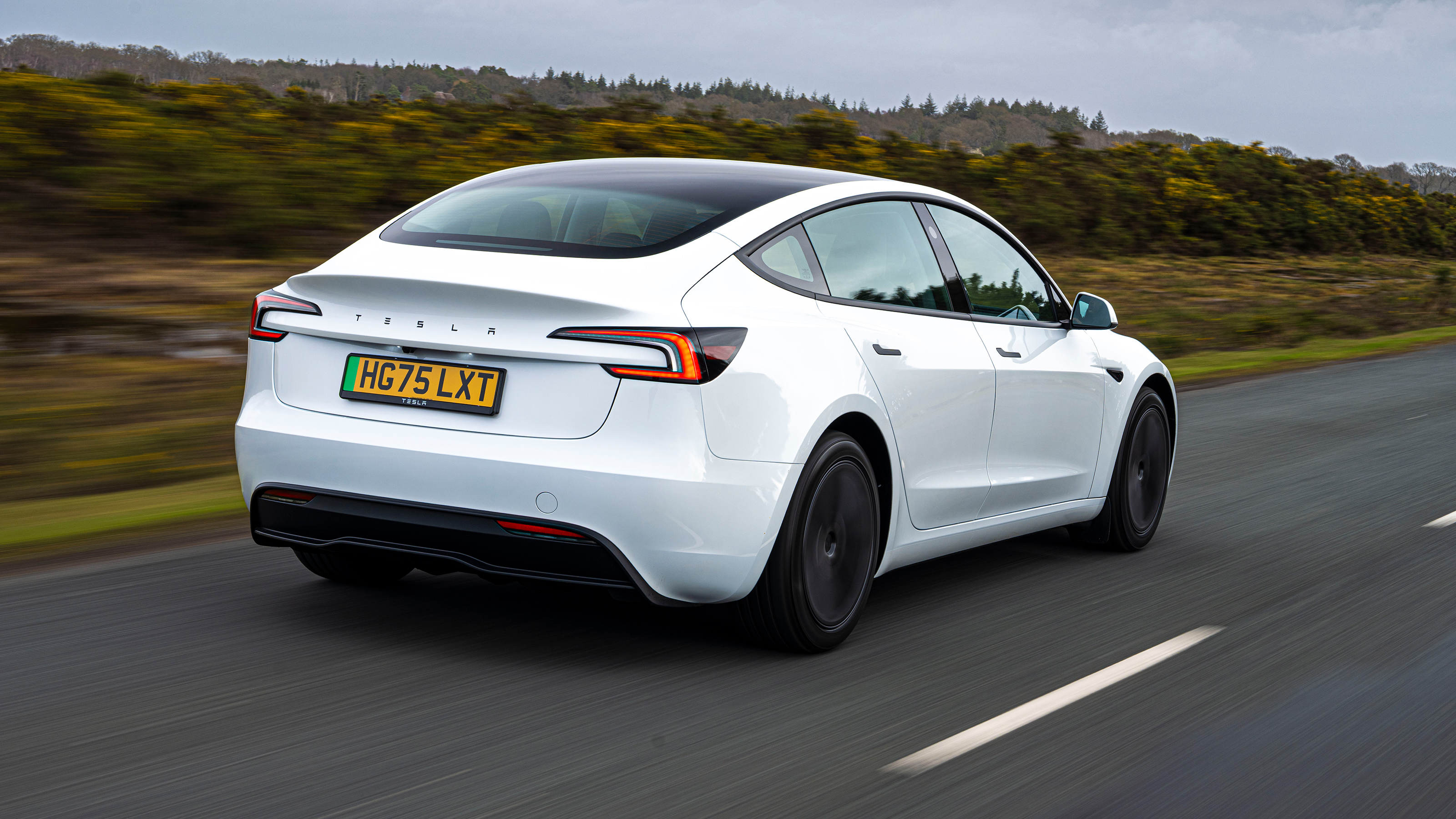 Tesla Model 3 RWD - rear tracking