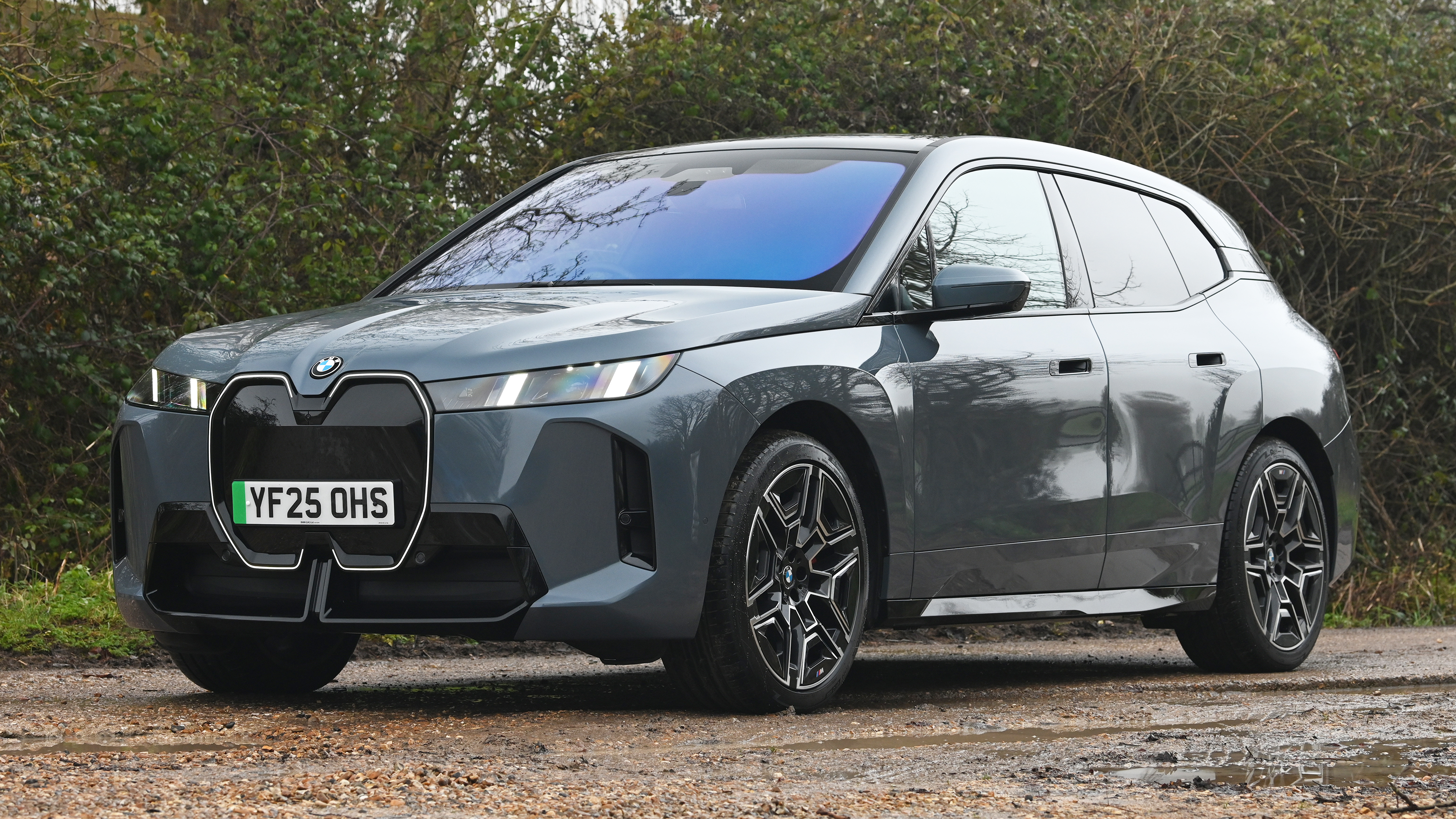 BMW iX - front angled