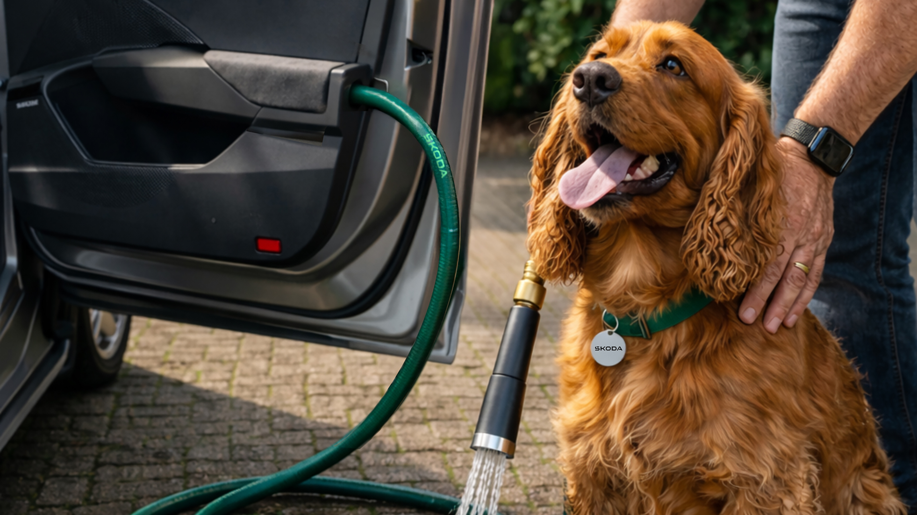 Skoda 'Hound Hose'