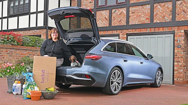 Audi A5 Avant TDI quattro S Line - garden centre header